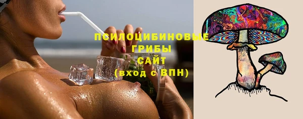 ешки Мегион