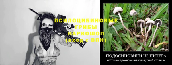 spice Михайлов