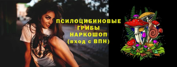 ешки Михайловск
