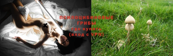прущая мука Михайловка
