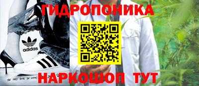 дмт Заволжье