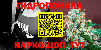 дмт Заволжье