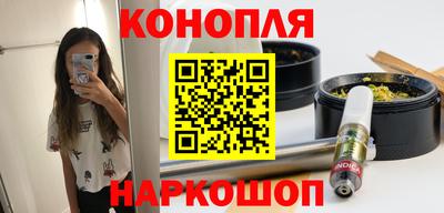 шишки Будённовск