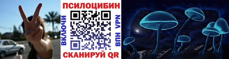 Псилоцибиновые грибы Psilocybe  Иваново 