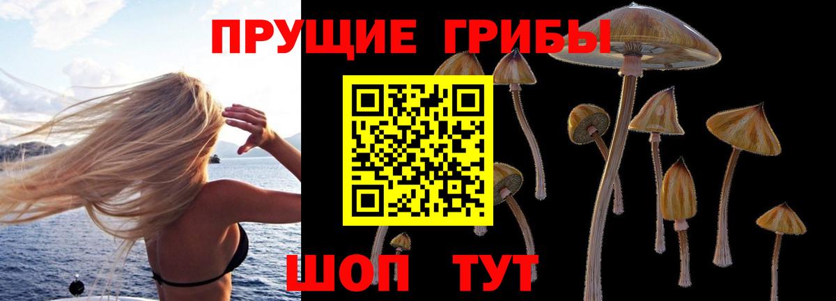 Псилоцибиновые грибы Psilocybine cubensis  Вход с VPN  Иваново 
